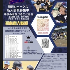 磯辺シャークス少年野球！いつでも体験可♪直近3年間で優勝35回