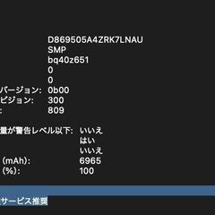 MacBook Pro（16インチ,2019）1TB/16GB〈MVVM2J/A〉⑥の画像