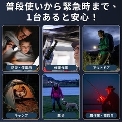 【受け渡し予定者決まりました】懐中電灯 夜光  点滅 防災グッズ ledライト typec 釣り 昆虫採集 ハンドヘルドトーチの画像