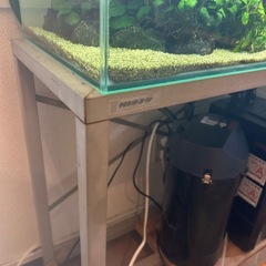 60cmガラス水槽+水槽台（交換歓迎）の画像