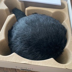ペットロボット　プチクーボ　ノワールの画像