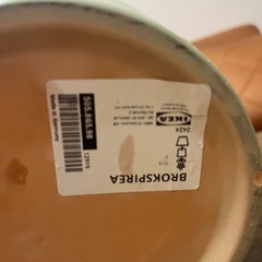 IKEA 鉢植えの画像