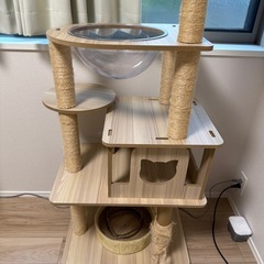 キャットタワーの画像