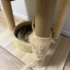 キャットタワーの画像