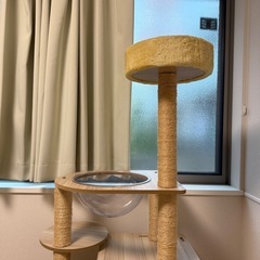 キャットタワーの画像