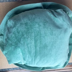 亀のぬいぐるみの画像