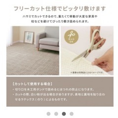 【取引中】抗菌防臭平織カーペット 6畳約 261x352cmの画像