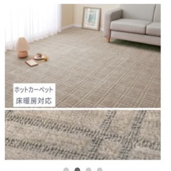 【取引中】抗菌防臭平織カーペット 6畳約 261x352cmの画像