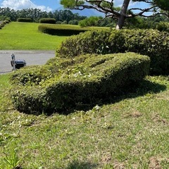 ⑪青森県内. 草刈り.剪定.枝払い.伐採.高圧洗浄 - 八戸市