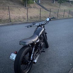 グラストラッカー250の画像