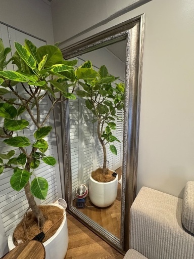 アンティーク調　すがたみ　特大