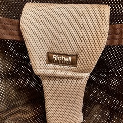 Richellバウンサーの画像