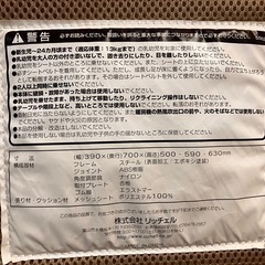 Richellバウンサーの画像
