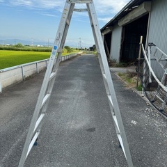 はしご 兼用 脚立 200cm アルインコの画像