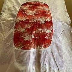 ◆シングルサイズ掛け布団（中古品）中古布団カバー付き　３枚の画像