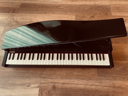 【再値下げ】KORG microPiano マイクロピアノ