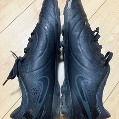 スパイク
の画像