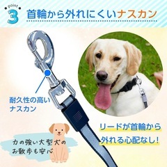 犬　伸縮リード　青の画像