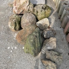 無料でお譲りします　庭石　自然石　縁石用の画像