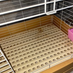 ラビット、キャットケージの画像
