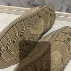 ティンバーランドの画像