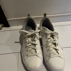プーマ スニーカーの画像