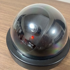 ダミー　防犯カメラの画像