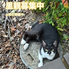 推定1才　白黒の男の子家族に迎え入れてくれる方