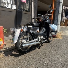 HONDA リトルカブ‼️の画像