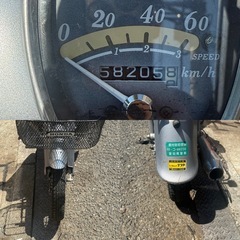 HONDA リトルカブ‼️の画像