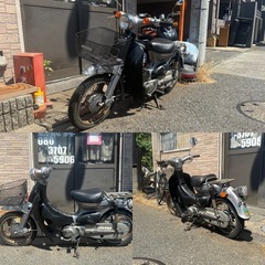 HONDA リトルカブ‼️の画像