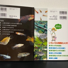 めだか飼育本！2冊まとめて✨の画像
