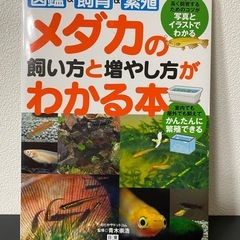 めだか飼育本！2冊まとめて✨の画像