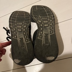 プーマ スニーカーの画像