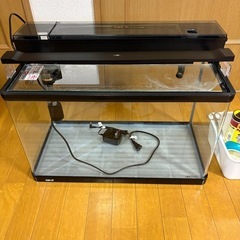 水槽　60cm GEX
の画像