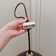 ペンダントライト 替えのLED電球付きの画像