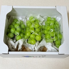 【訳あり品】シャインマスカット3房セット の画像