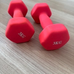 ダンベル3キロ×2の画像