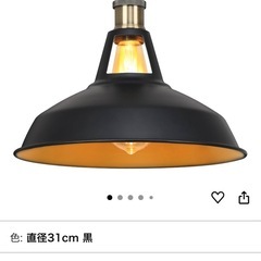 ペンダントライト 替えのLED電球付きの画像