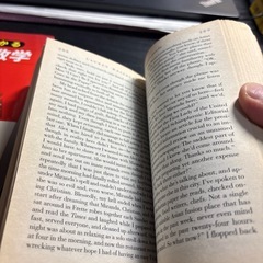 The devil wears prada プラダを着た悪魔　洋書の画像