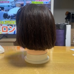 東京チャーム　カットウィッグの画像