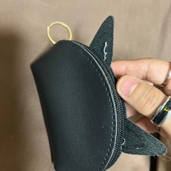 ミニケースの画像