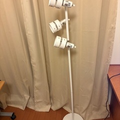 照明の画像