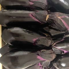 水茄子 美男🍆　52本の画像
