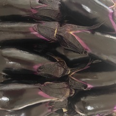 水茄子 美男🍆　52本の画像