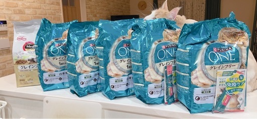 グレインフリー　
猫用 ドライフード ピュナ ワン 他　まとめて