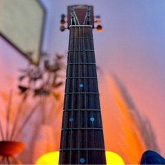 MORRIS ギター (レアタイプ)の画像