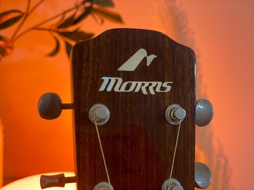 MORRIS ギター (レアタイプ)