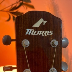 MORRIS ギター (レアタイプ)の画像