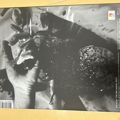 テヨン　INVUアルバムの画像